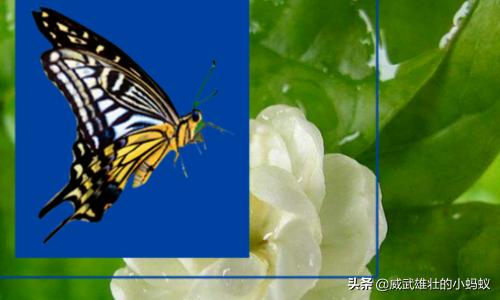 蒙版的作用ps蒙版的作用