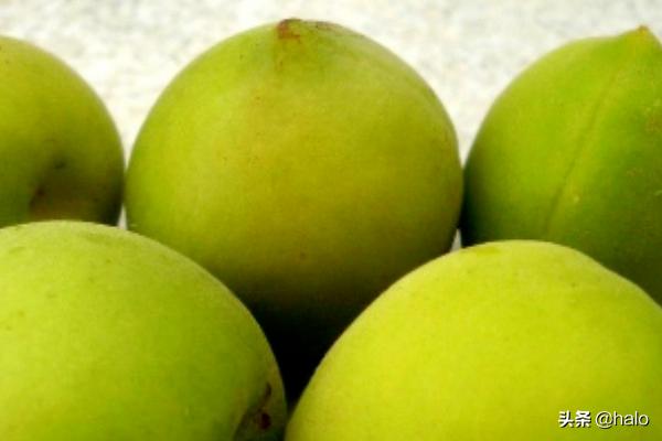 芒种吃什么，芒种节气适合吃什么？