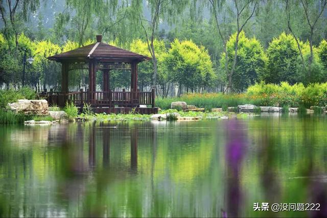 天津哪个树林最多