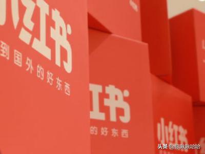 女性肌肉训练的app(图5)
