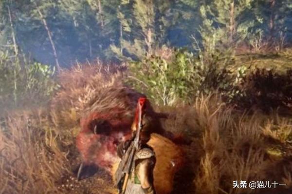 厄律曼托斯野猪怎么打 野猪怎么打-第4张图片-Game优搜
