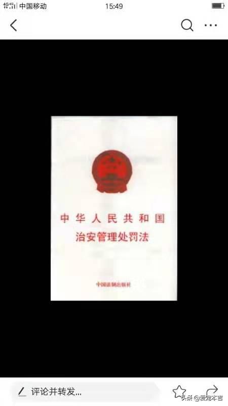 給寵物的話?寵物的話題怎么聊!