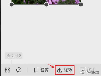手机壁纸女（手机WPS怎样把图片的格式变成jpg？）
