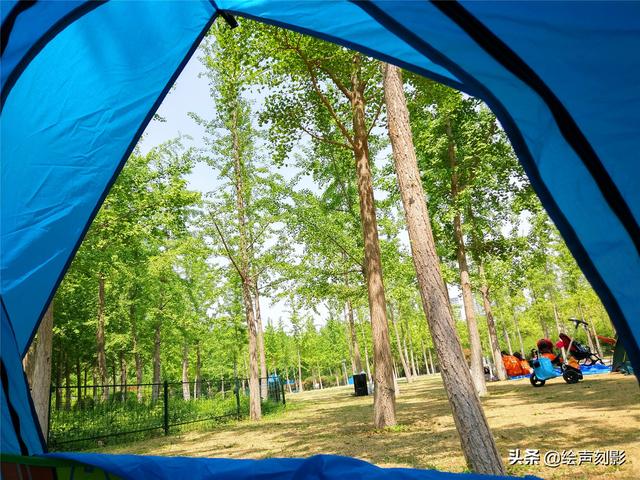 济南市里公园哪个好玩儿