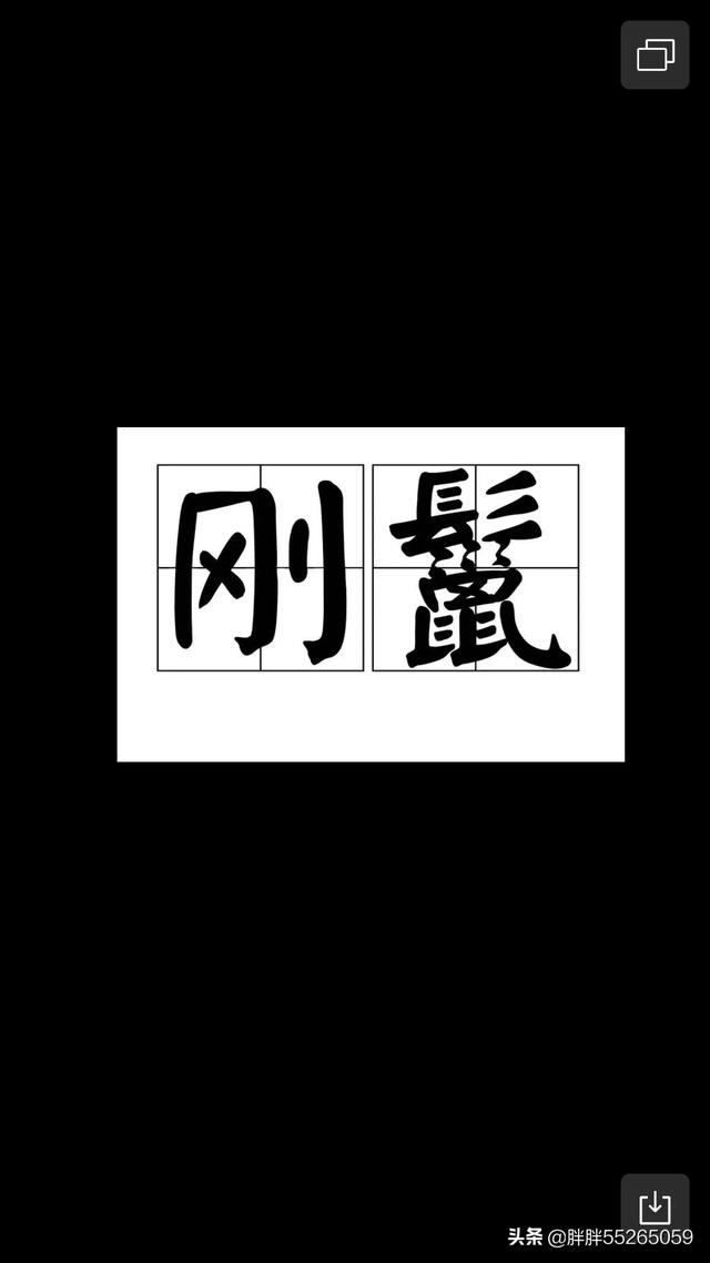 狗狗寄养一个月，会忘记主人吗,第2张