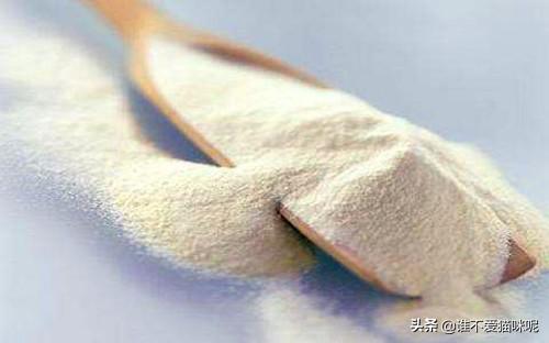 寵物拉肚子吃什么藥?寵物狗拉肚子吃什么藥!