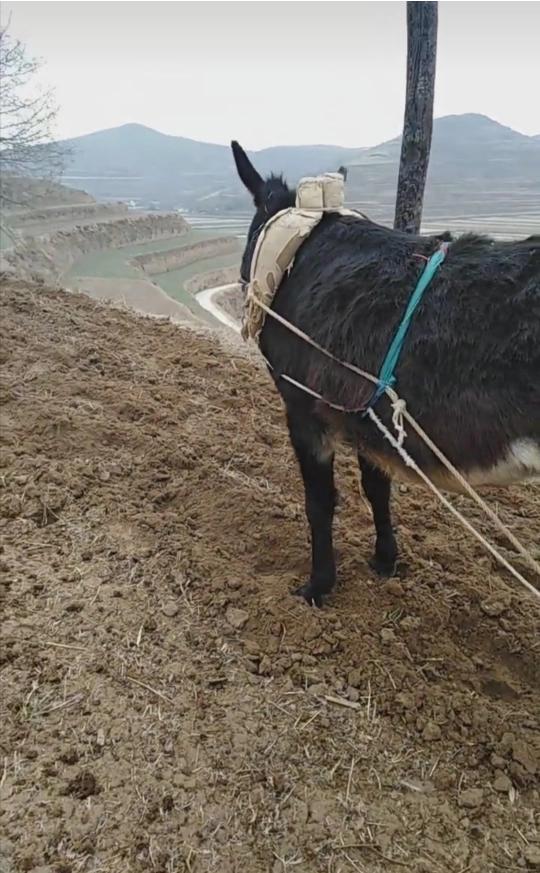 女人的地男人犁最新章节(图16)