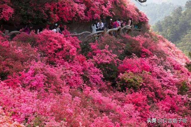 武汉摄影（武汉适合拍照的地方？）