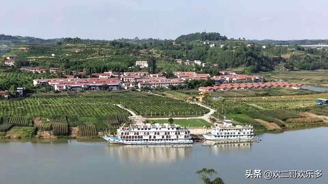 海果园种植基地图片,海果园种植基地图片大全