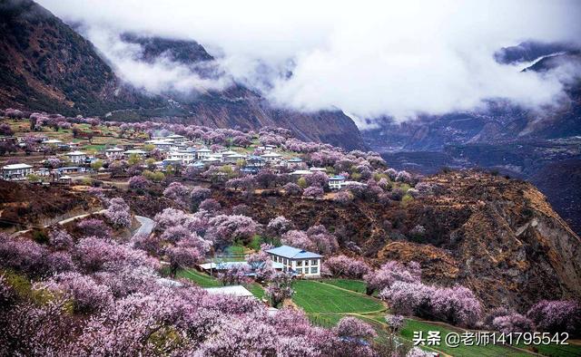 推荐旅游景点作文,推荐理由是什么 国内的,推荐旅游景点作文,推荐理由是什么 国内的