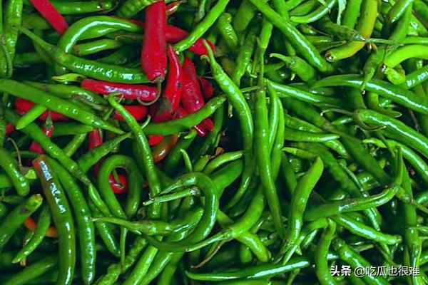 辣椒什么时候传入中国_花椒什么时候传入中国