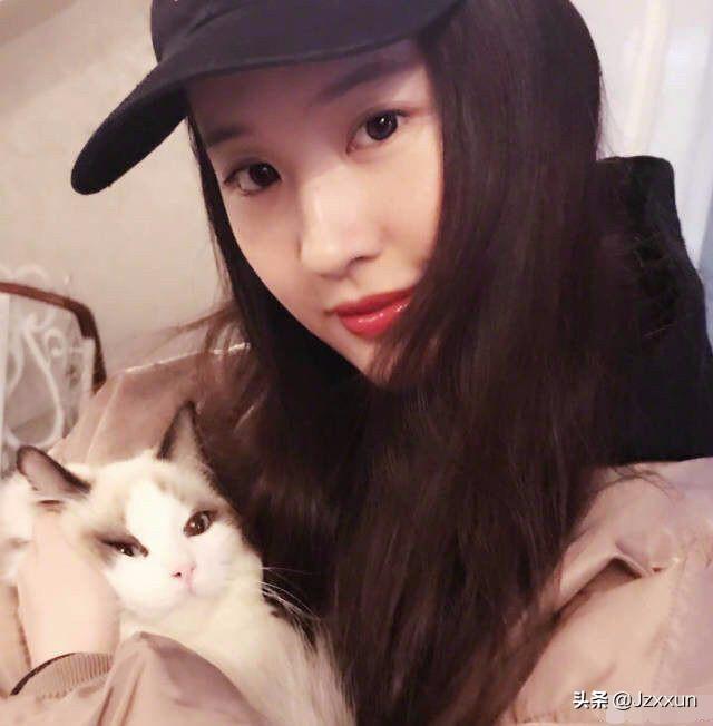 明星寵物貓?明星寵物貓的名字叫什么!