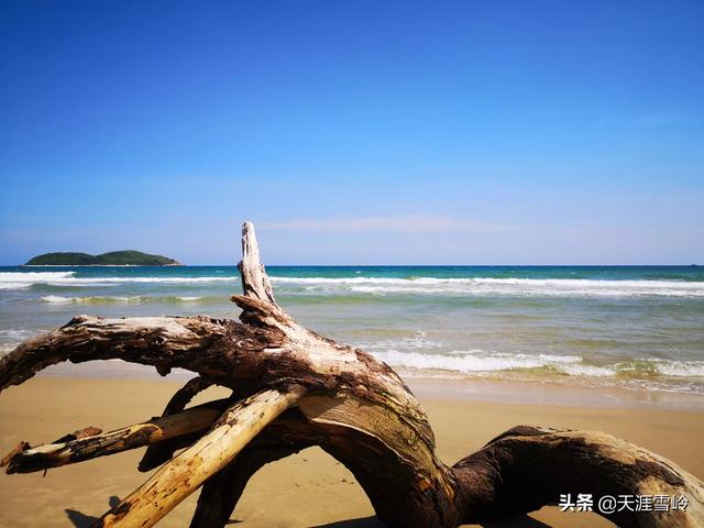 石家庄市井陉县纸飞机账号购买服务