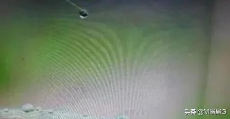 [显示器花屏]显示器花屏怎么解决？