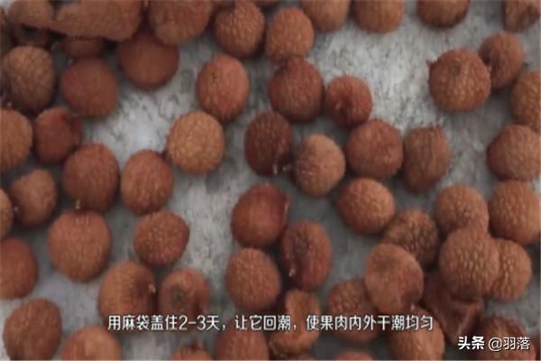 荔枝干-荔枝干的功效与作用