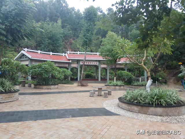 厦门航空mf8221哪个座位风景最好？