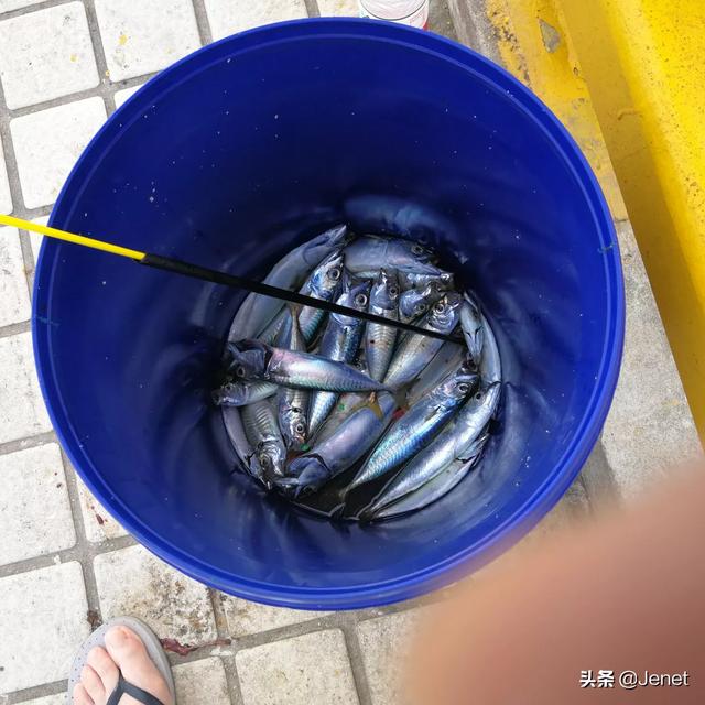 日照旅游攻略景点必去的(图11)