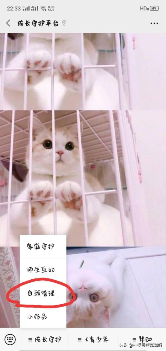 成长守护平台时间设置步骤？坦克世界如何看注册时间？