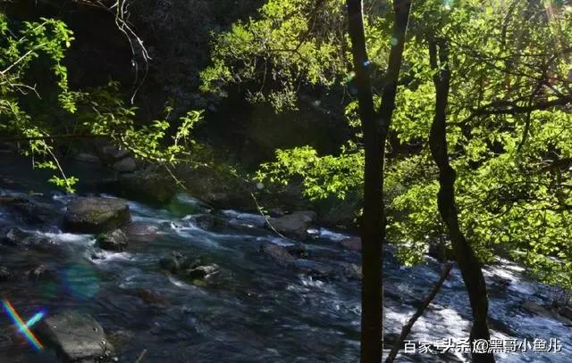 云南曲靖市马龙区户外烧烤评价好的农家乐哪家好最近哪一家,曲靖马龙哪里有好吃的