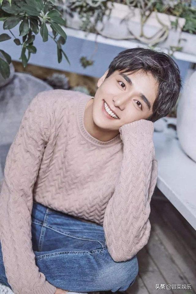 大宋少年志演员表（大宋少年志演员表配音表）