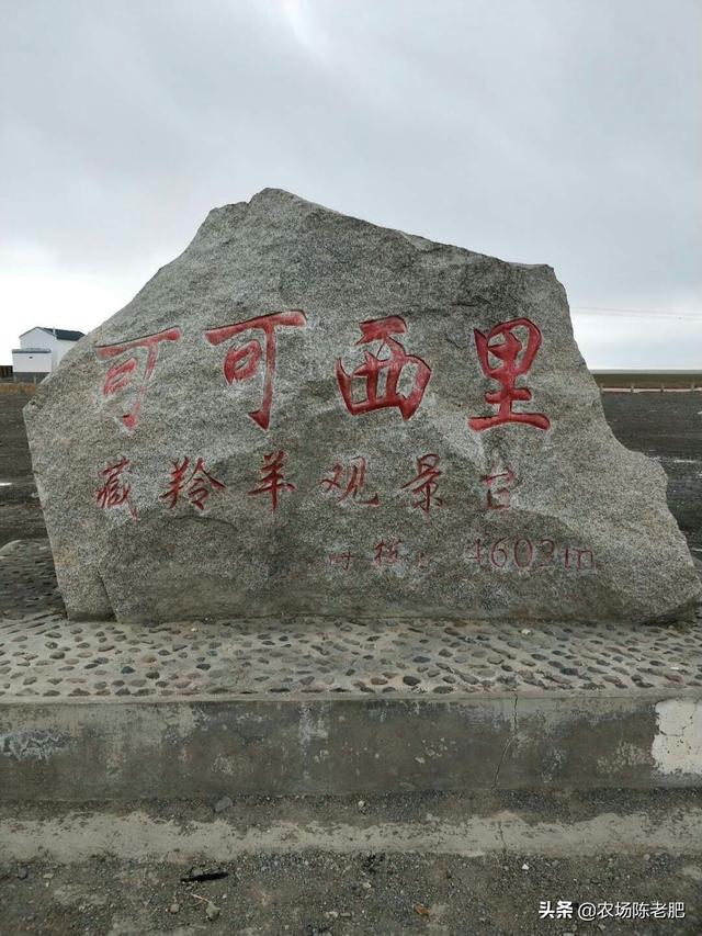 洛阳川藏线旅游攻略路线， 洛阳川藏线自驾游路线规划图