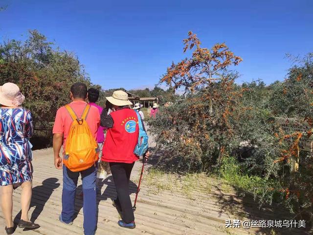 七月新疆必去的十大景点(图2)