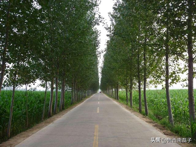 涵洞渗水原因分析及处理措施