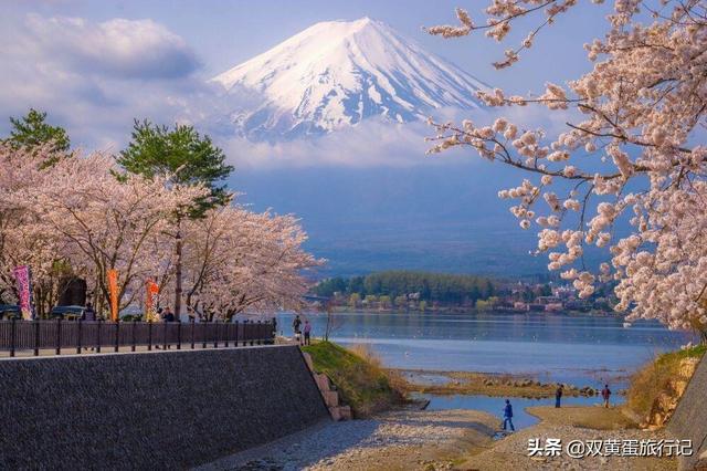 春季国内旅游推荐 怎么写