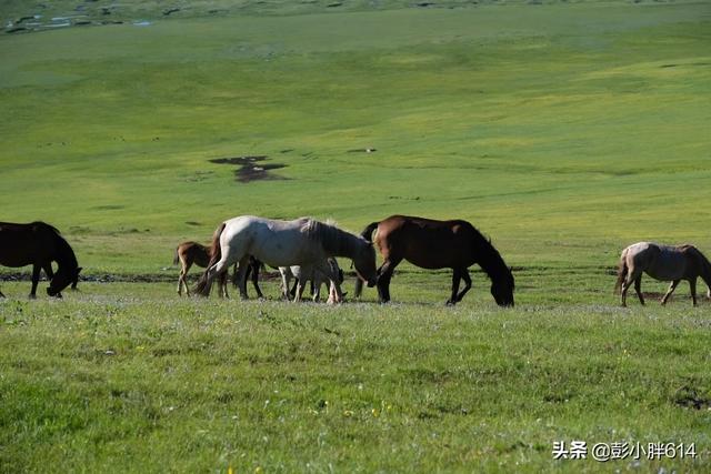 8月20号去喀纳斯旅游，应该穿什么衣服去，那边晚上冷吗