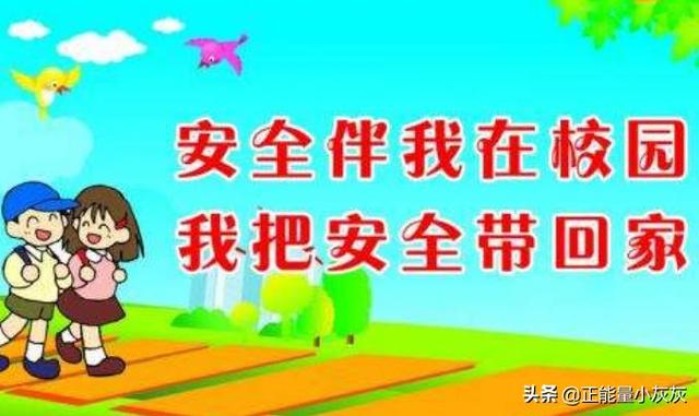 小学安全教案20篇(学校安全教育有哪些方面)