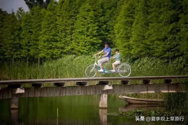 在上海和全家一日旅游适合的景点有哪些