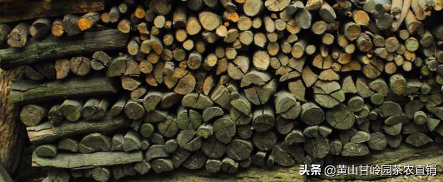 这个绿茶我不当了_这个绿茶我不当了 有匪君子君