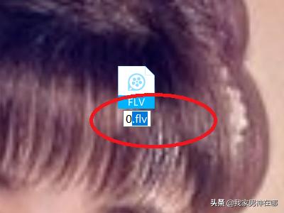 flv下载（在电脑上怎么下载视频到u盘flv版本号？）