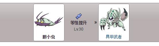 [胆小虫]胆小虫怎么培养？