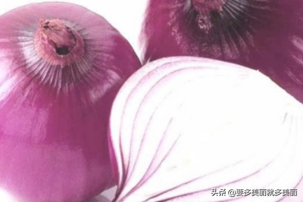 猫吃哪些食品会怎么样