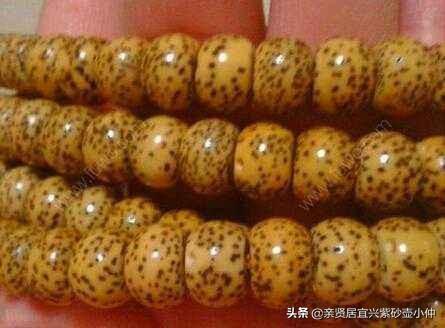 星月菩提怎么辨别真假(图6)