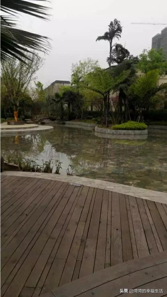 重庆老小区哪个环境好些