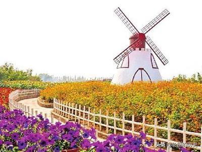 广州市有什么赏花