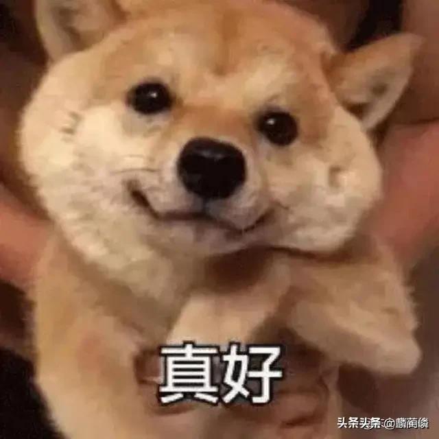 疯狂的麦克斯4女主角叫什么名字？意外的春天剧情解析？