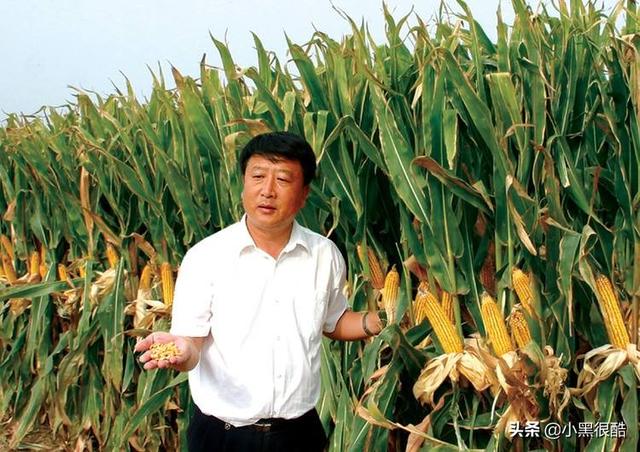 广东遂溪猪肉做法（高州特产籺？）