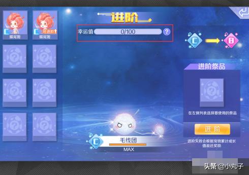 炫舞好聽的寵物名字?炫舞好聽的寵物名字大全!