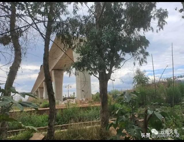 昆明事故致2死9伤昆明发生事故