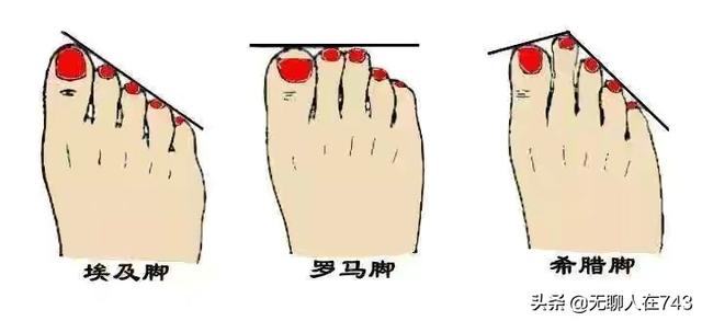 罗马2全面战争埃及军事省 罗马2全面战争埃及