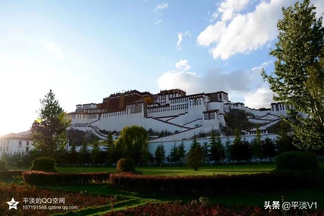 日喀则市桑珠孜区纸飞机账号购买