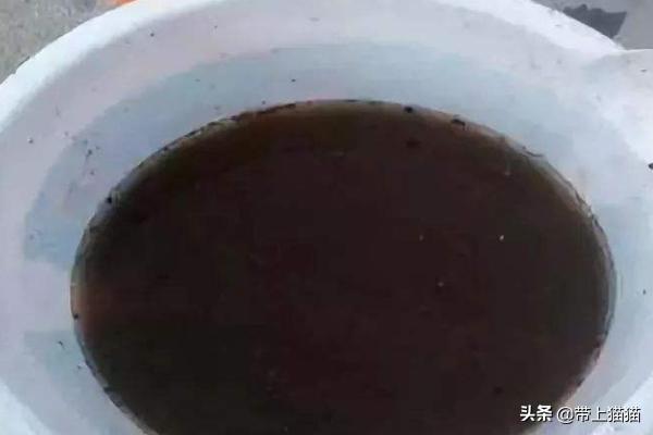 怎么制做花卉肥料?怎么制做花卉肥料视频!