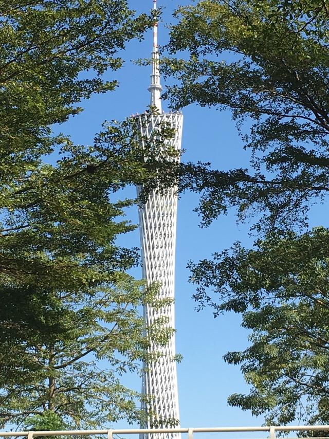 记录海外生活的自己怎么写，记录海外生活的自己怎么写作文
