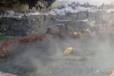 青山沟风景区门票-青山沟风景区门票多少钱