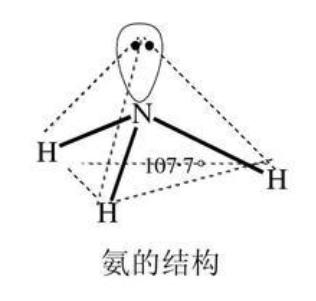 sbh-叔本華