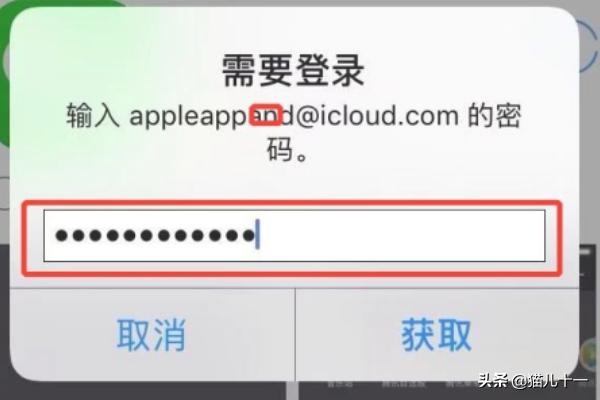 app开发苹果