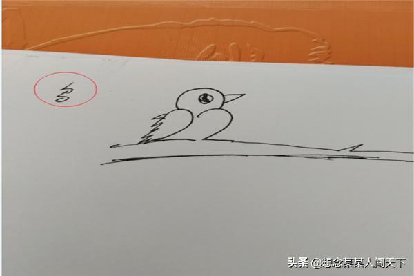 愤怒的小鸟图片 愤怒的小鸟图片高清图片-第4张图片-春华游戏网